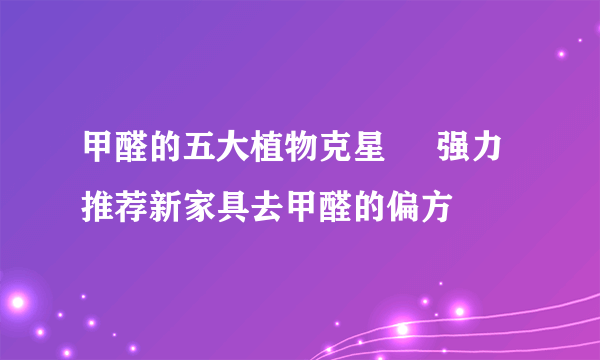 甲醛的五大植物克星     强力推荐新家具去甲醛的偏方