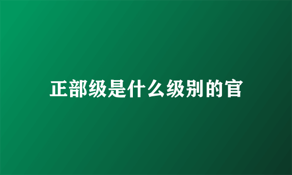 正部级是什么级别的官