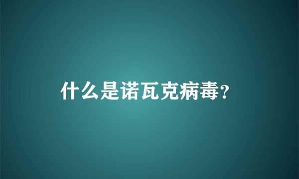 什么是诺瓦克病毒？