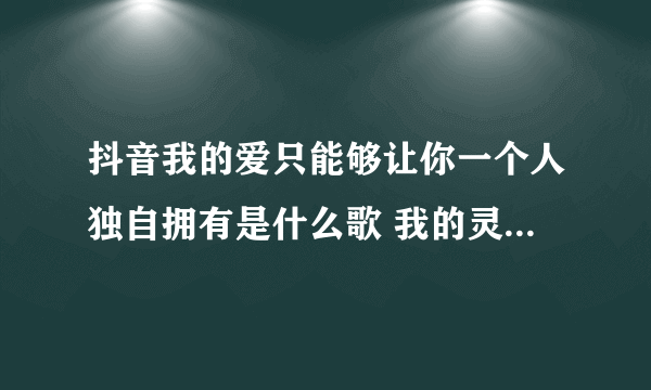 抖音我的爱只能够让你一个人独自拥有是什么歌 我的灵和魂魄不停守候在你心门口