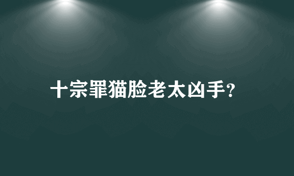 十宗罪猫脸老太凶手？