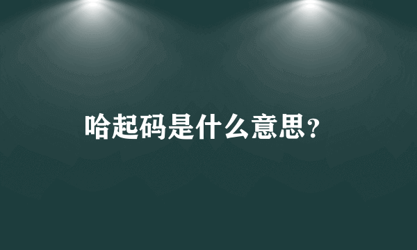 哈起码是什么意思？