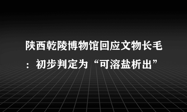 陕西乾陵博物馆回应文物长毛：初步判定为“可溶盐析出”