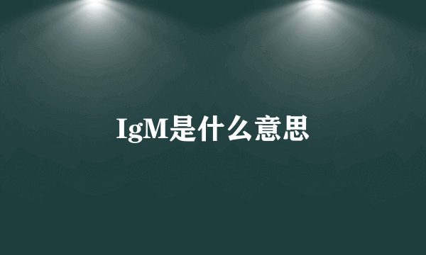 IgM是什么意思