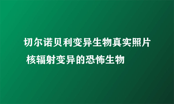 切尔诺贝利变异生物真实照片 核辐射变异的恐怖生物