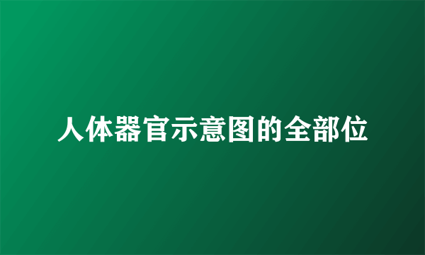 人体器官示意图的全部位