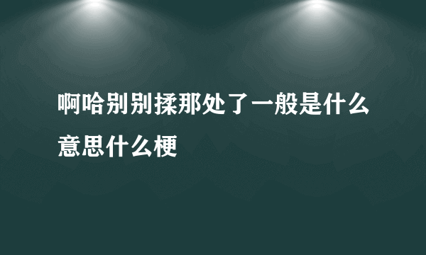 啊哈别别揉那处了一般是什么意思什么梗