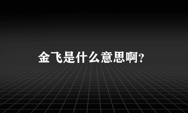 金飞是什么意思啊？