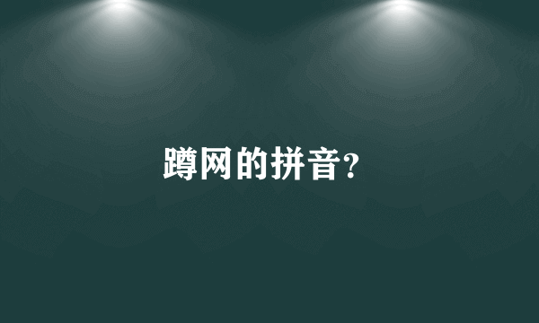 蹲网的拼音？