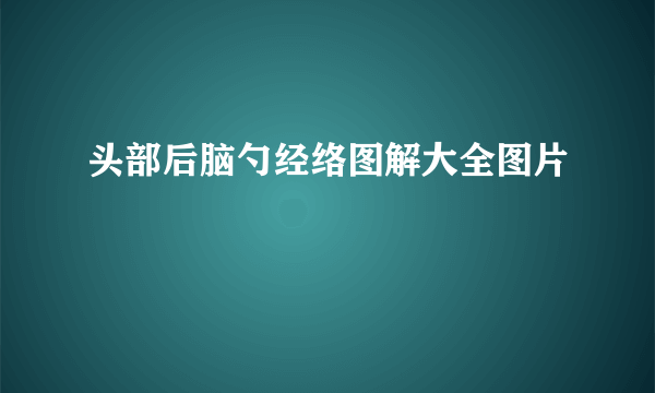 头部后脑勺经络图解大全图片