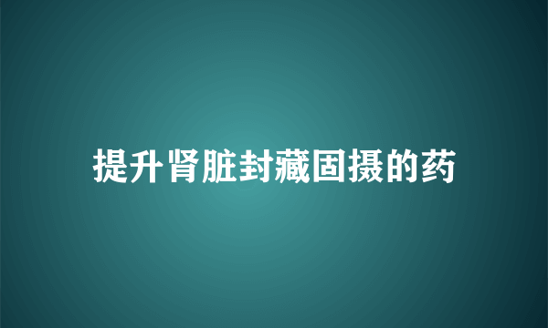 提升肾脏封藏固摄的药