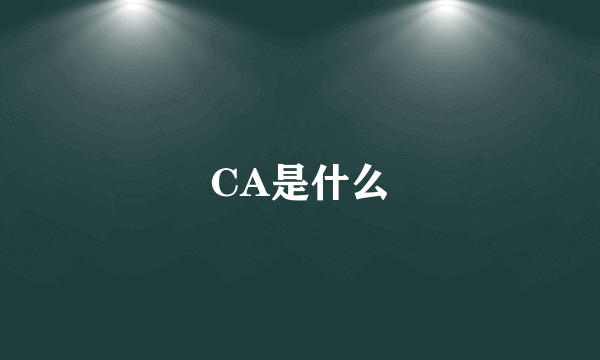 CA是什么