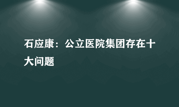 石应康：公立医院集团存在十大问题