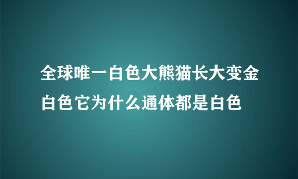 全球唯一白色大熊猫长大变金白色它为什么通体都是白色