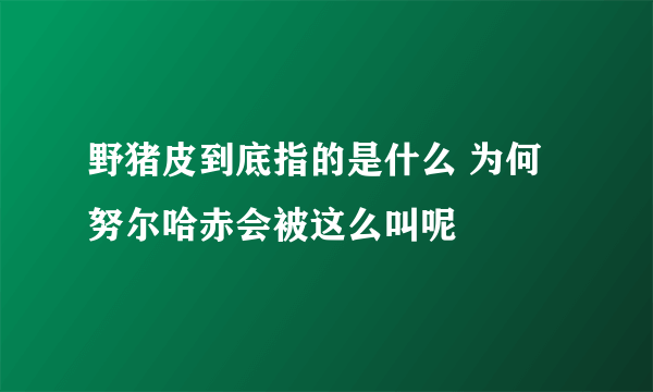 野猪皮到底指的是什么 为何努尔哈赤会被这么叫呢