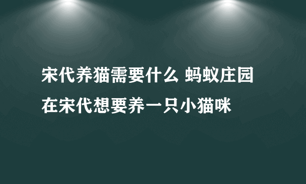 宋代养猫需要什么 蚂蚁庄园在宋代想要养一只小猫咪