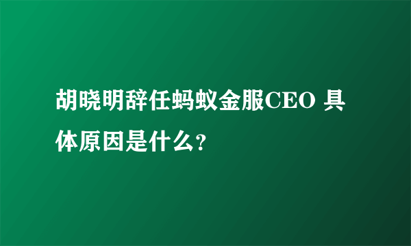 胡晓明辞任蚂蚁金服CEO 具体原因是什么？