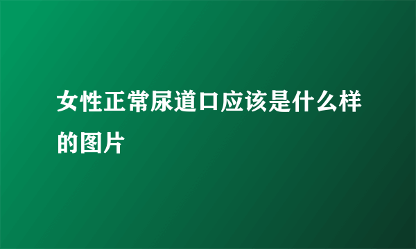 女性正常尿道口应该是什么样的图片