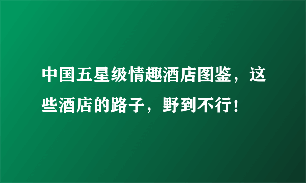 中国五星级情趣酒店图鉴，这些酒店的路子，野到不行！