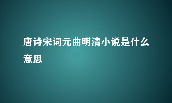 唐诗宋词元曲明清小说是什么意思