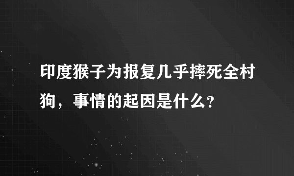 印度猴子为报复几乎摔死全村狗，事情的起因是什么？