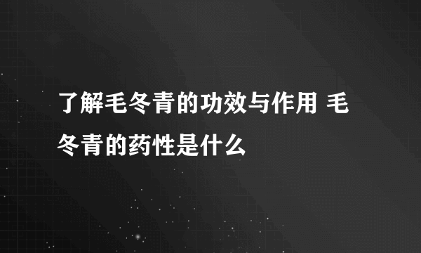 了解毛冬青的功效与作用 毛冬青的药性是什么