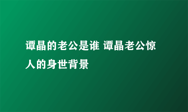 谭晶的老公是谁 谭晶老公惊人的身世背景