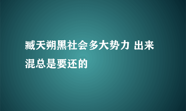 臧天朔黑社会多大势力 出来混总是要还的