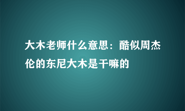 大木老师什么意思：酷似周杰伦的东尼大木是干嘛的