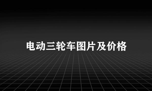 电动三轮车图片及价格