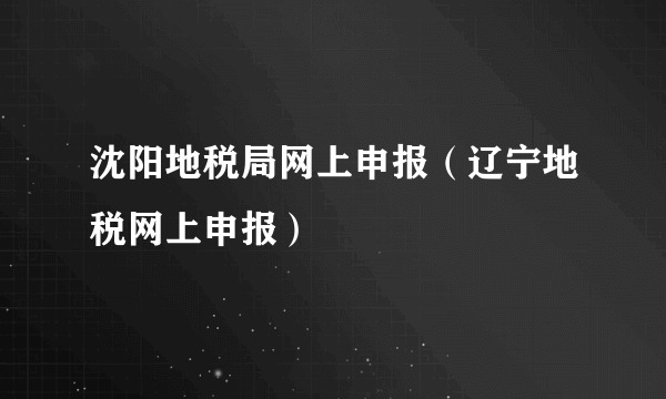 沈阳地税局网上申报（辽宁地税网上申报）