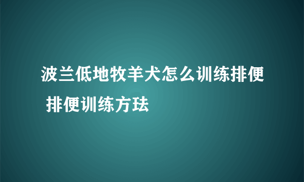 波兰低地牧羊犬怎么训练排便 排便训练方珐