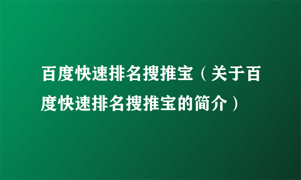 百度快速排名搜推宝（关于百度快速排名搜推宝的简介）