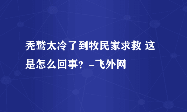 秃鹫太冷了到牧民家求救 这是怎么回事？-飞外网