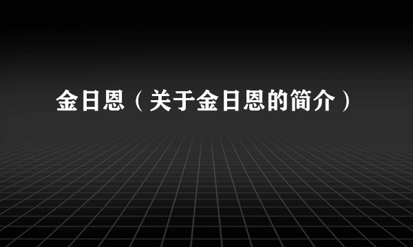 金日恩（关于金日恩的简介）