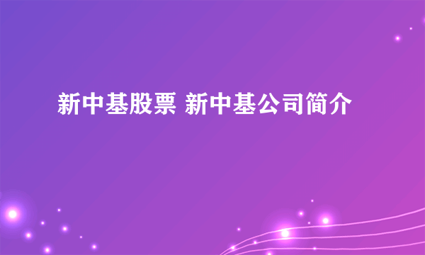 新中基股票 新中基公司简介