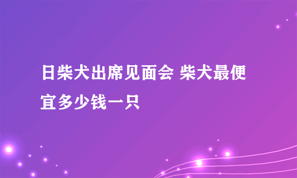 日柴犬出席见面会 柴犬最便宜多少钱一只