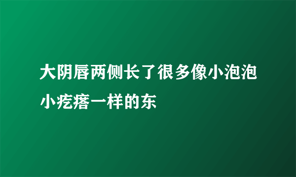 大阴唇两侧长了很多像小泡泡小疙瘩一样的东