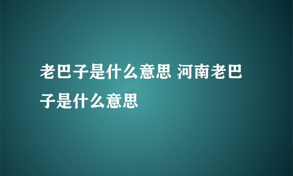 老巴子是什么意思 河南老巴子是什么意思