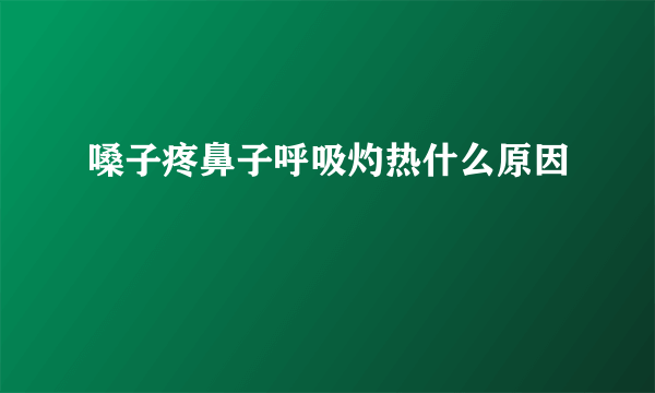 嗓子疼鼻子呼吸灼热什么原因