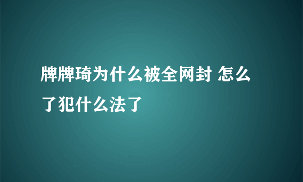 牌牌琦为什么被全网封 怎么了犯什么法了