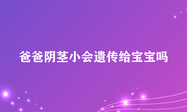 爸爸阴茎小会遗传给宝宝吗