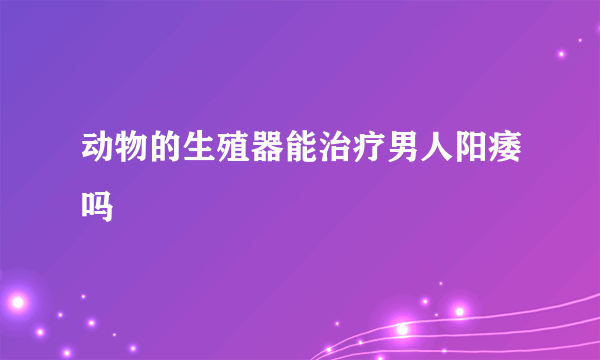 动物的生殖器能治疗男人阳痿吗