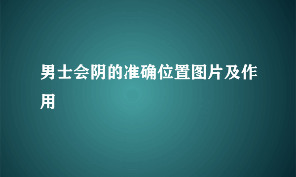 男士会阴的准确位置图片及作用