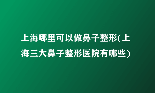 上海哪里可以做鼻子整形(上海三大鼻子整形医院有哪些)