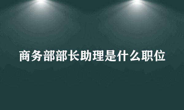 商务部部长助理是什么职位