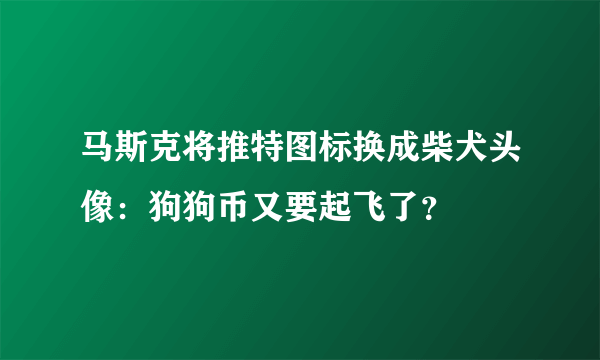 马斯克将推特图标换成柴犬头像：狗狗币又要起飞了？