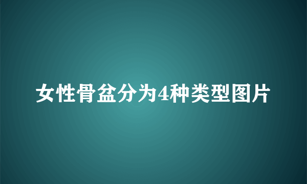 女性骨盆分为4种类型图片