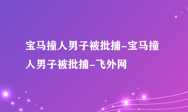 宝马撞人男子被批捕-宝马撞人男子被批捕-飞外网