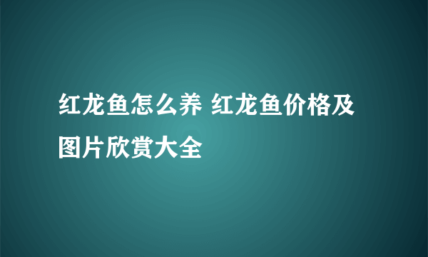 红龙鱼怎么养 红龙鱼价格及图片欣赏大全